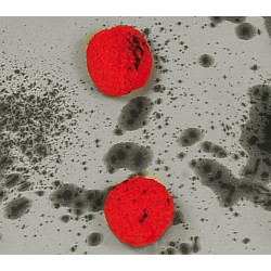 Berniuko klouno žudiko kostiumas