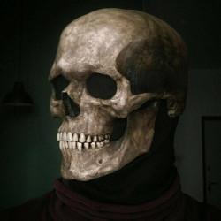 Realistic Skull Mask – Latex Halloween Skeleton Mask