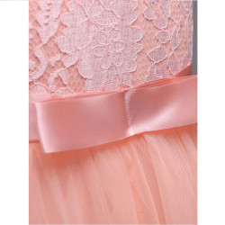 Festive Pink Dress for Girls