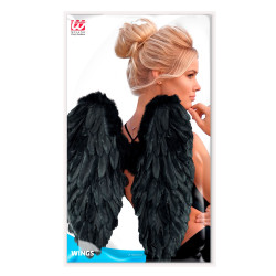 Juodi plunksnų sparnai