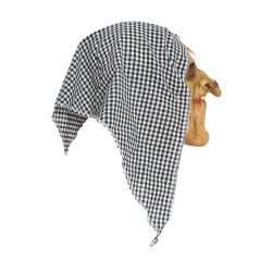 Lateksinė raganos kaukė su gobtuvu