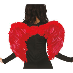 Raudonų plunksnų sparnai, 60x50 cm